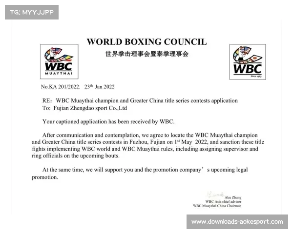 WBC职业拳王争霸赛国际认证，提升包头体育赛事能级